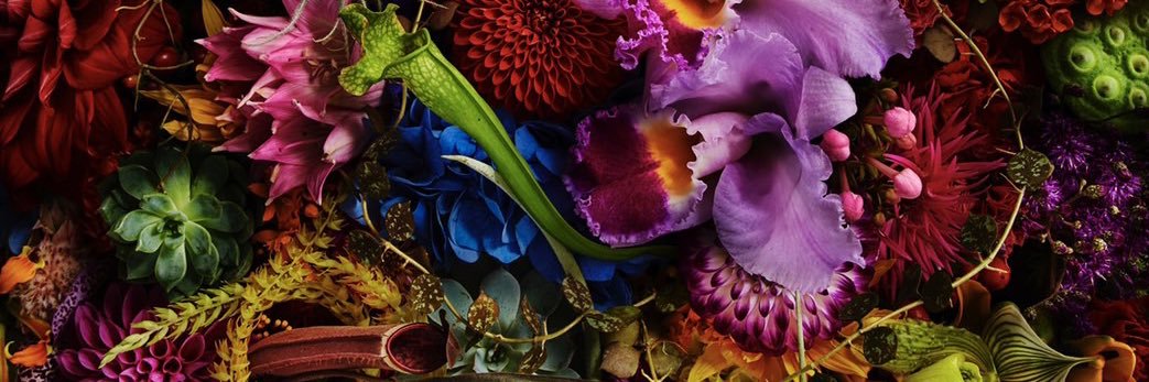 gracefuldecay's profile banner image