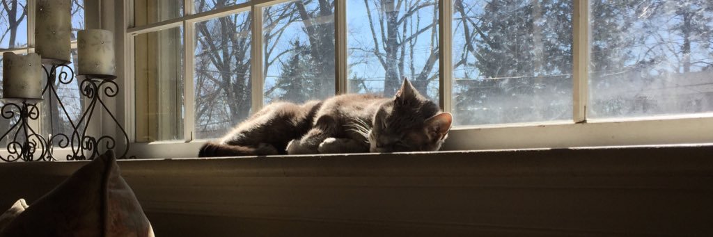 daniellekd_'s profile banner image