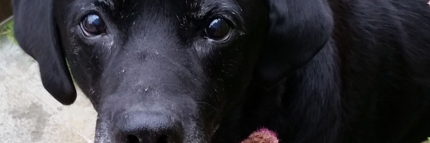 maritojenny's profile banner image