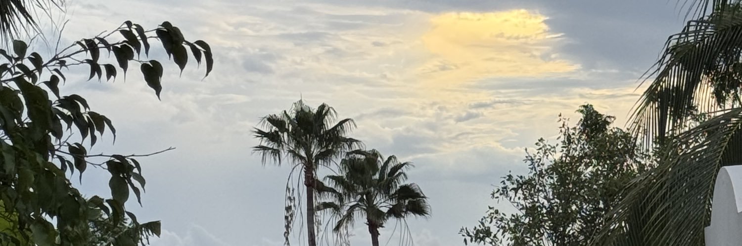brunnax333's profile banner image
