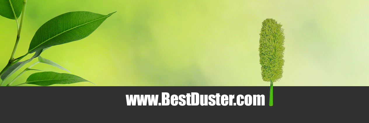 CleansGreen's profile banner image