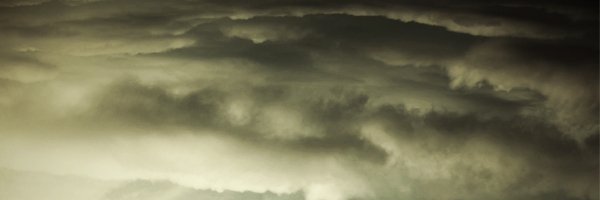 wrong_whp Profile Banner