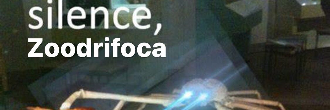 Cindy Calixta banner