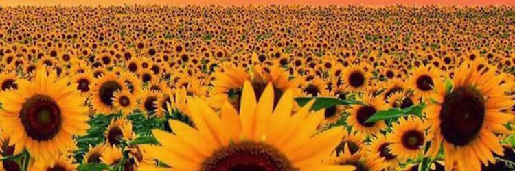 Ella Doble banner