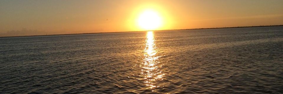 KatyaVds's profile banner image