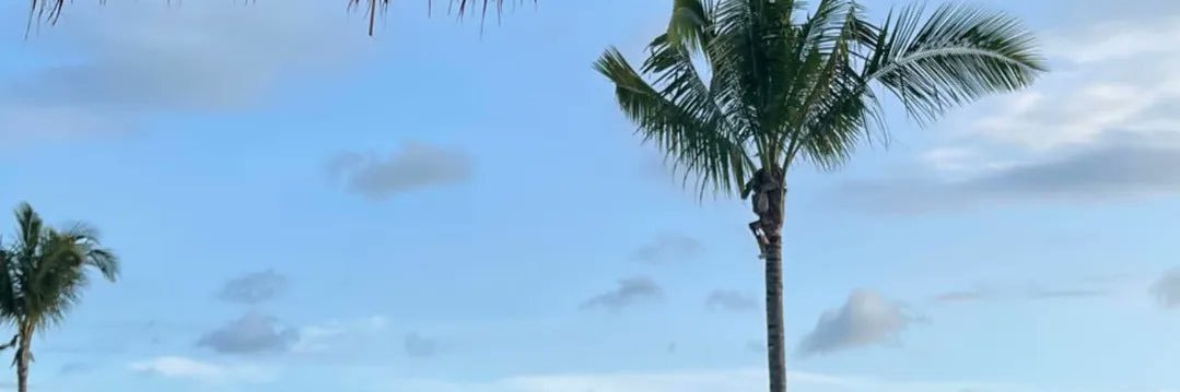 BitchDeFi's profile banner image