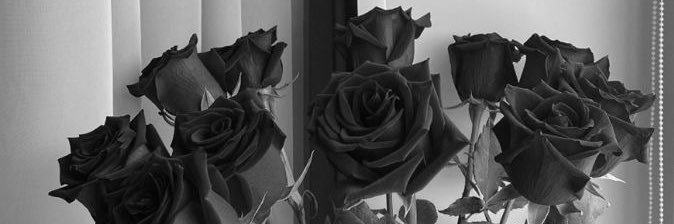 dianmedur's profile banner image
