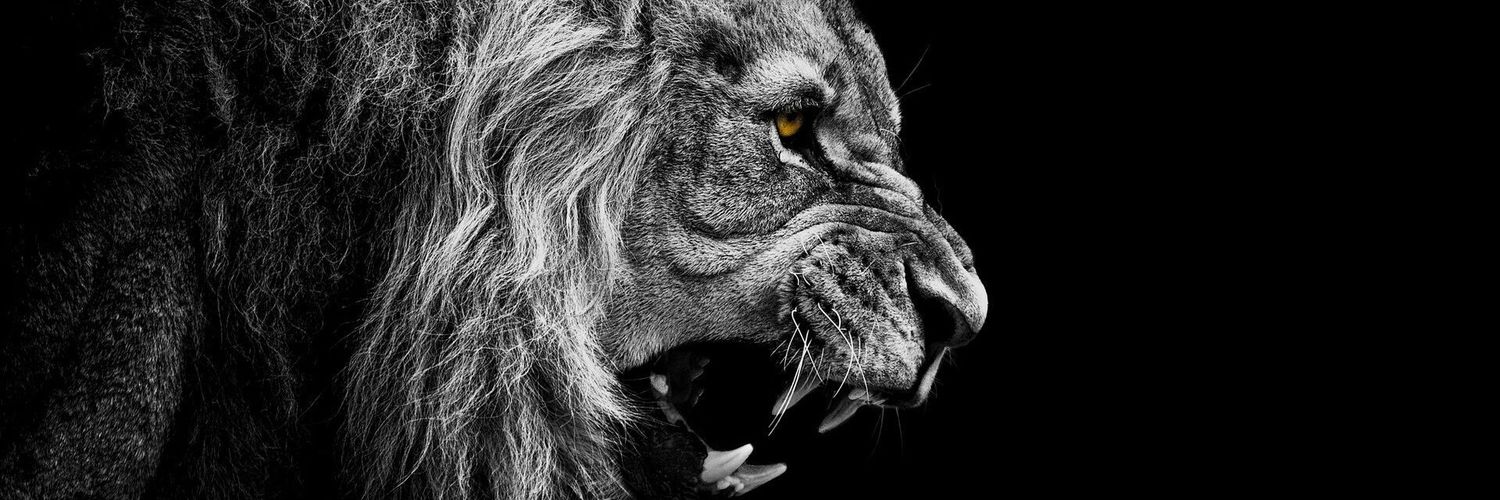 Praisebond's profile banner image