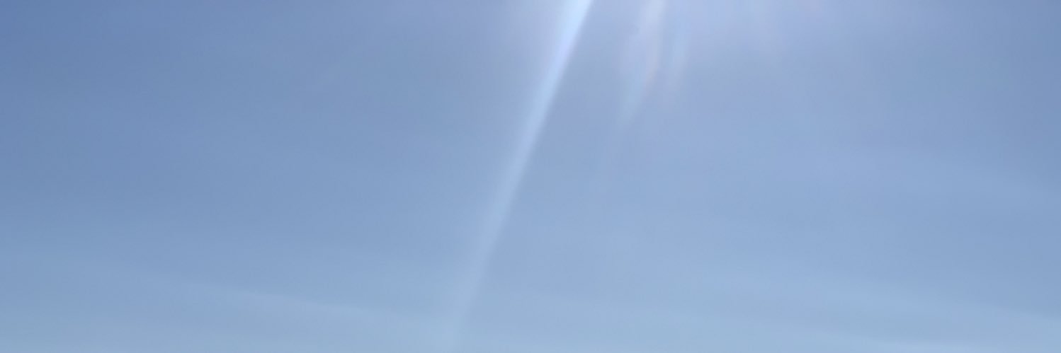 rocheardent's profile banner image