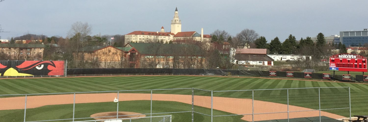 La Roche Baseball Profile Banner