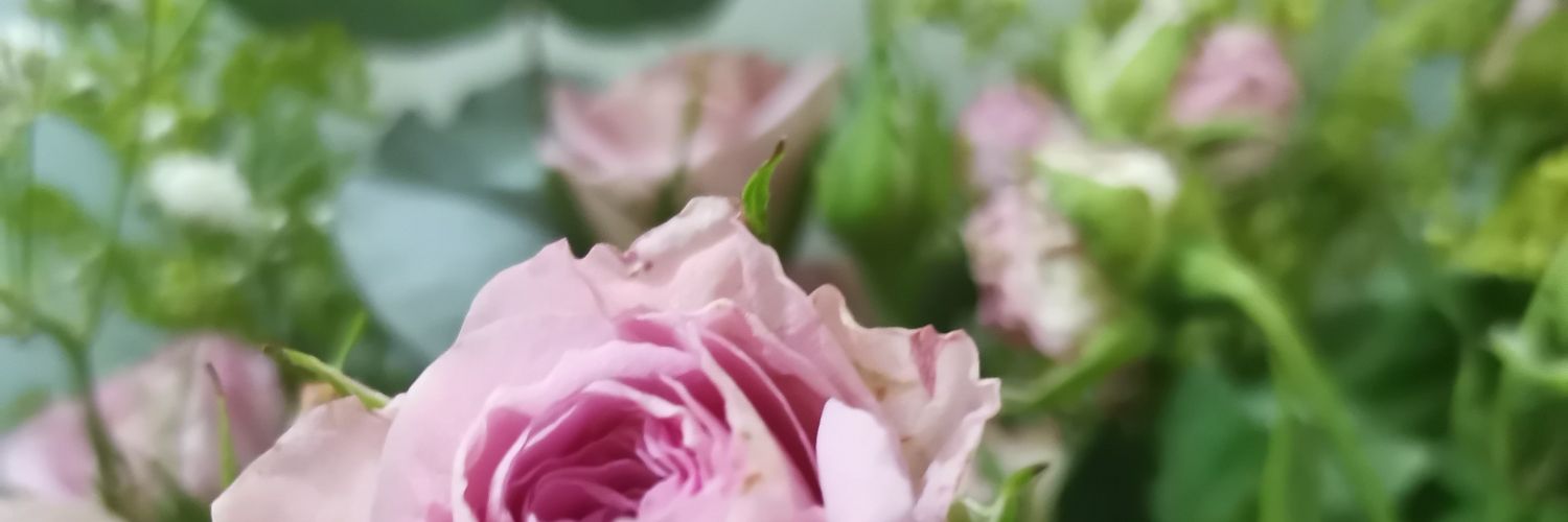 mathabaad33's profile banner image