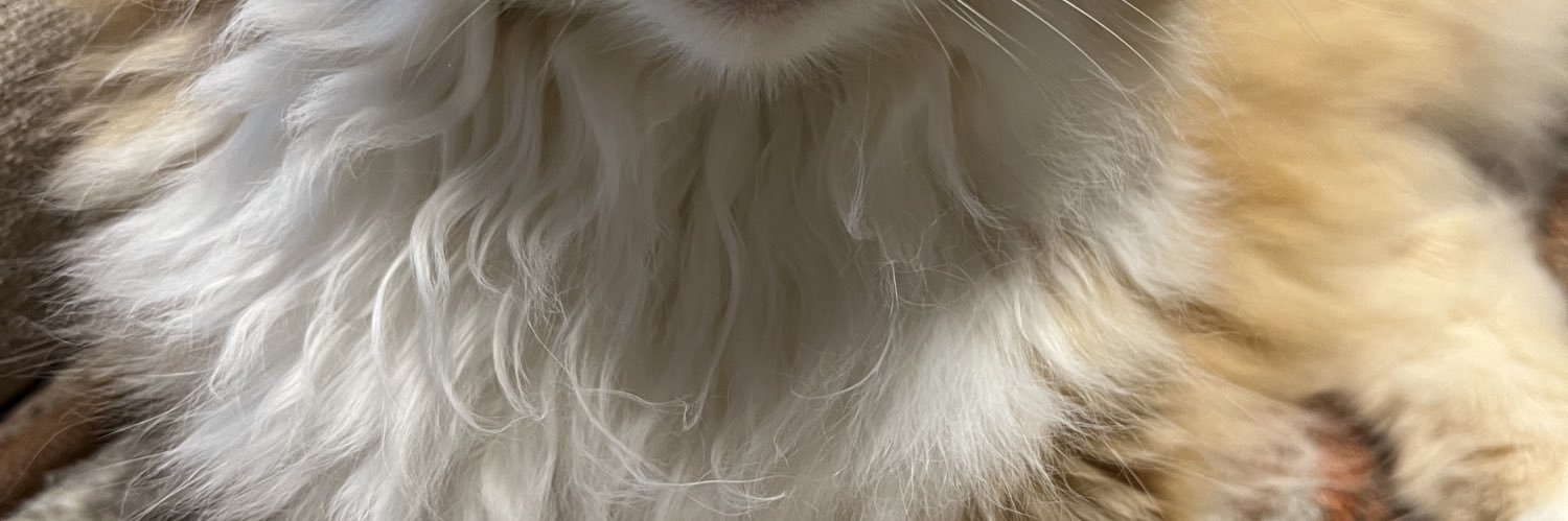 Syuchan0828's profile banner image
