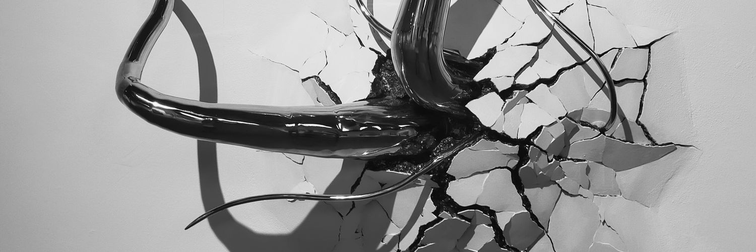 Ɐ⅄ⱯſNⱯS HIꓕⱯԀ ✰ banner