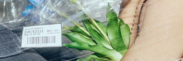 mmimookz Profile Banner