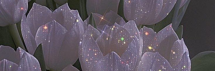 𝓇𝒾𝑒𝓃 banner