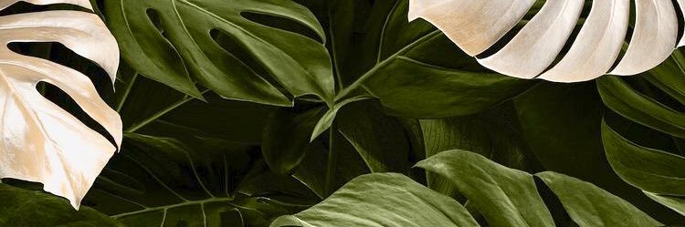 karentzia's profile banner image