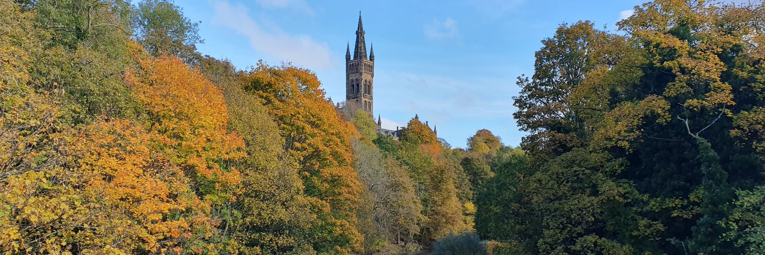 Zvonimir Bašić banner