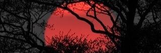 FarrellInterpol's profile banner image