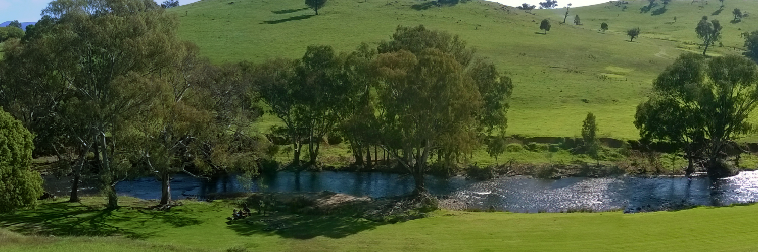 ElmCottageTumut's profile banner image