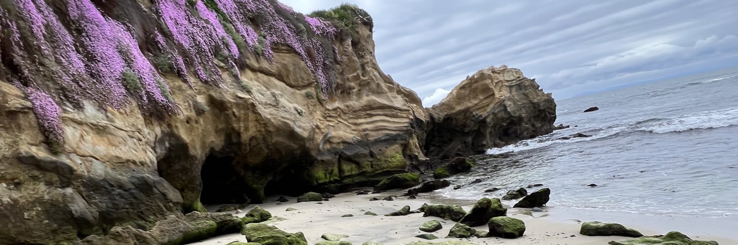 💗siege💗 banner