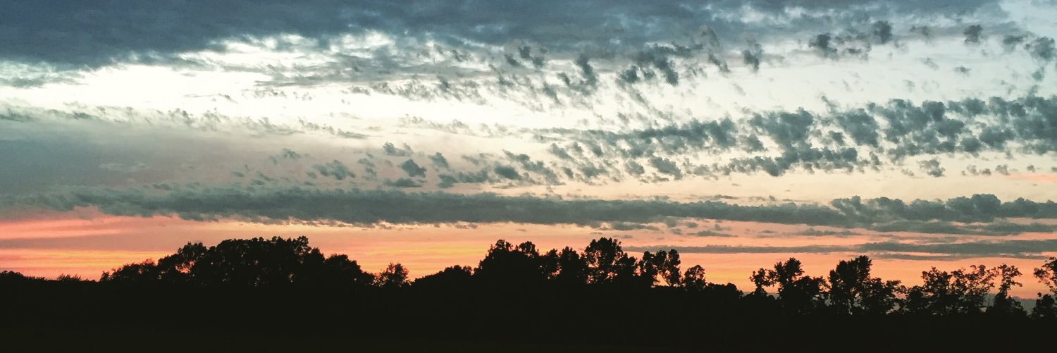 goracersjburks's profile banner image