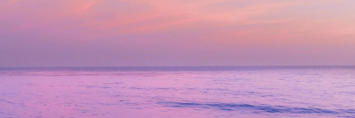 erica ☾ banner