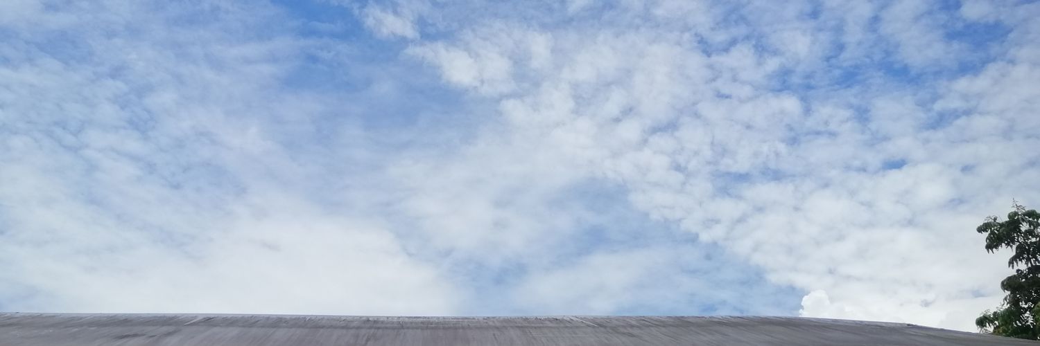 rhizo_kye's profile banner image