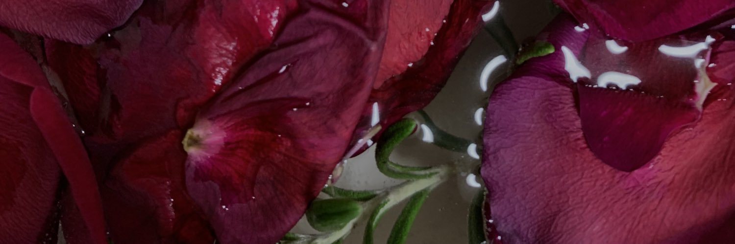 aestheticliz's profile banner image
