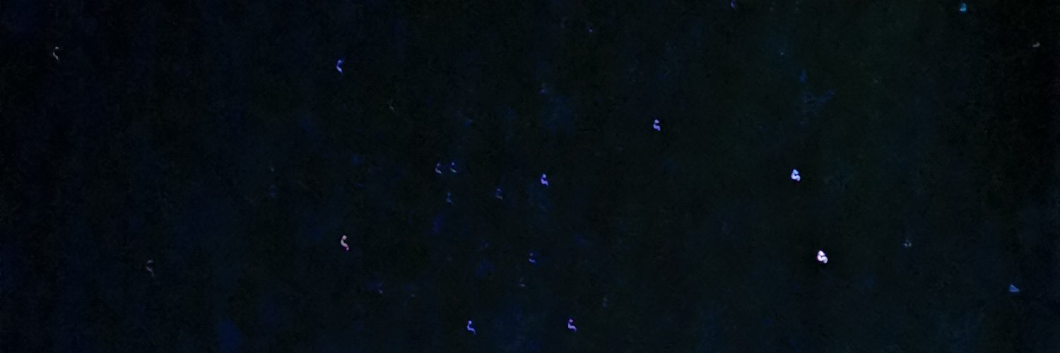 Tarkand banner