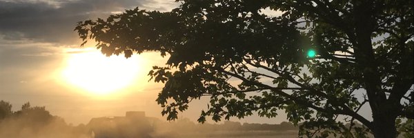 melliebuse Profile Banner