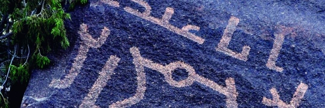 أحمد سعيد قشاش banner