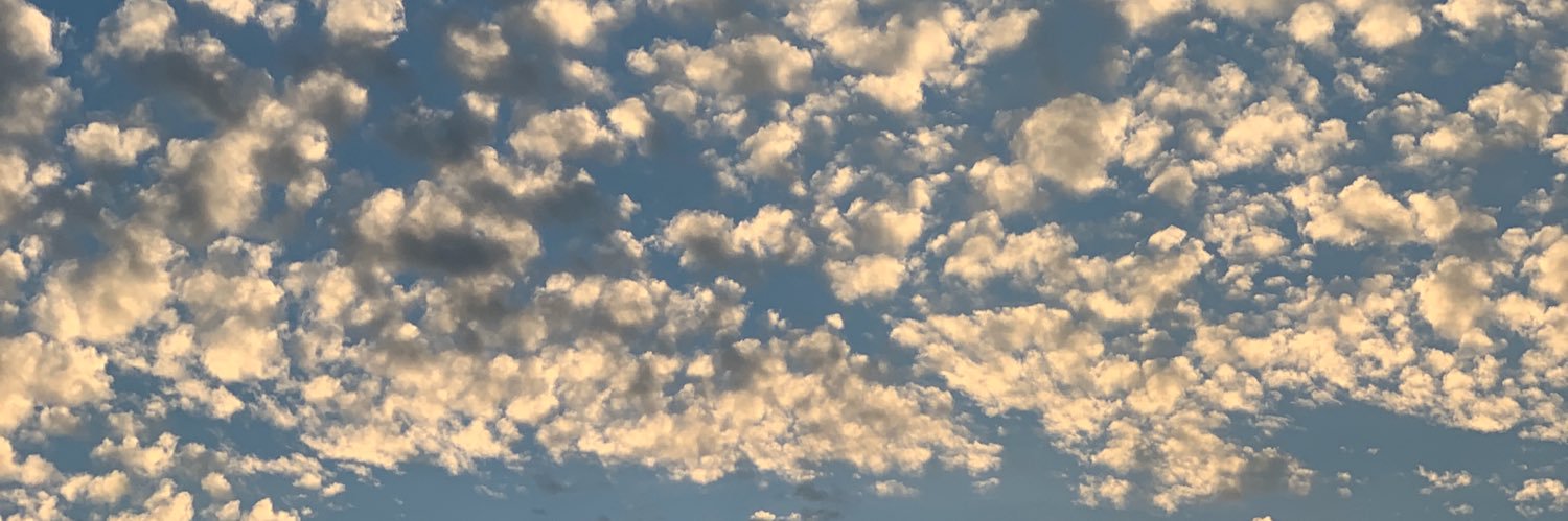 Ryxn banner
