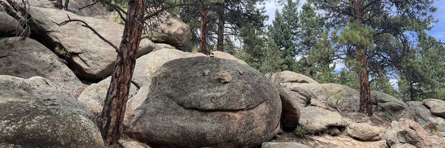 MeitalHoffman's profile banner image