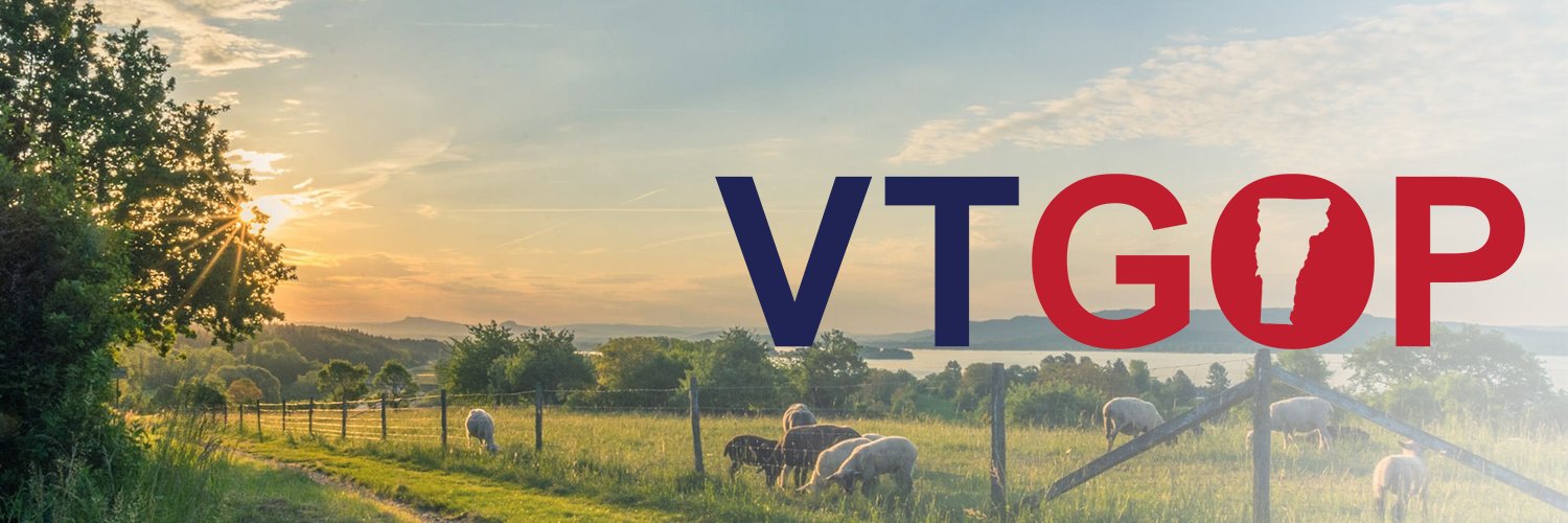 VT Republican Party banner