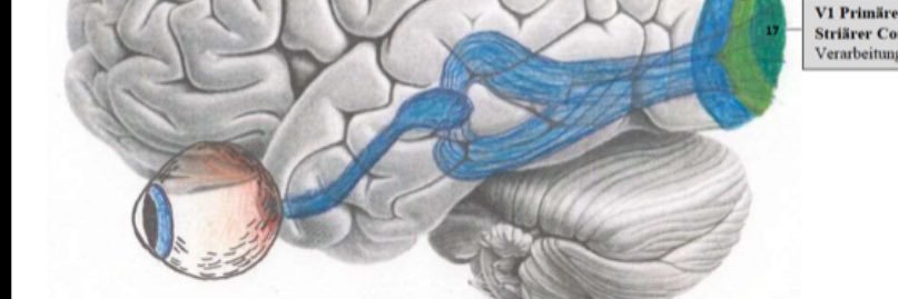 dr_Abbad's profile banner image