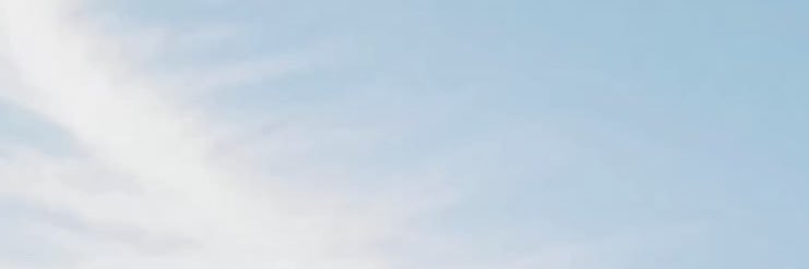 MHW banner