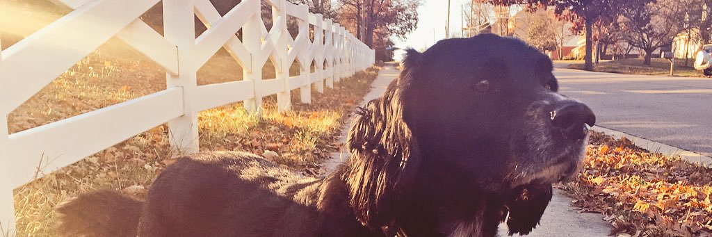 HealthyKara's profile banner image