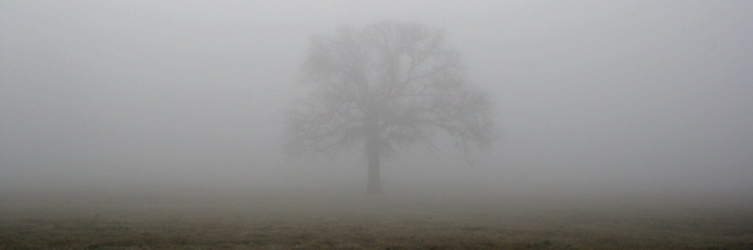 VVOTAN ✳️🐇🕳️ banner