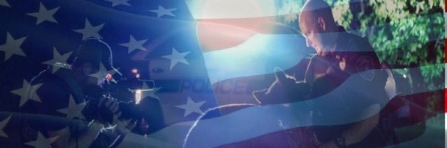 K9Viking banner