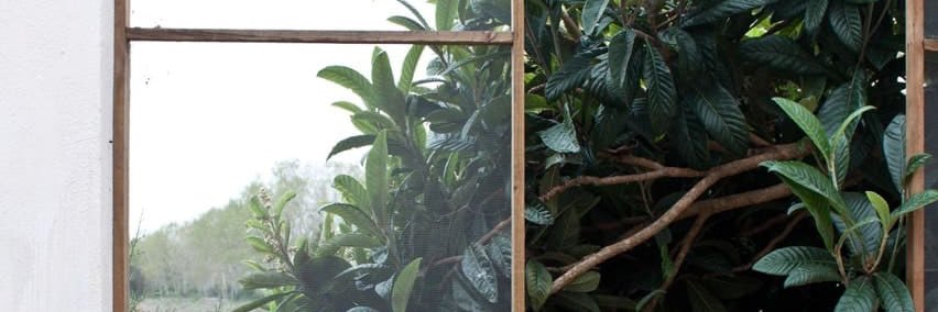 ~ banner