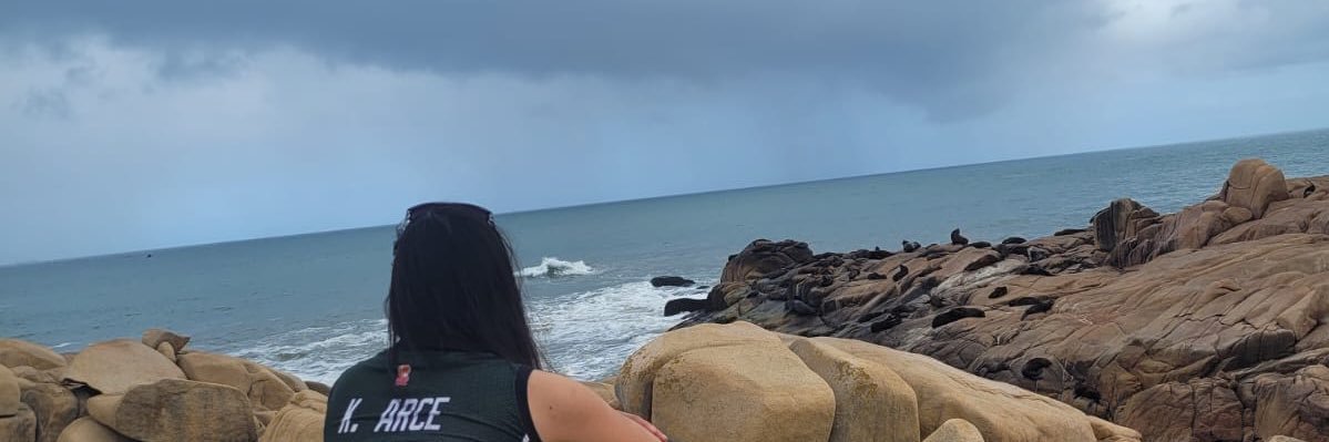 flavia_arce's profile banner image