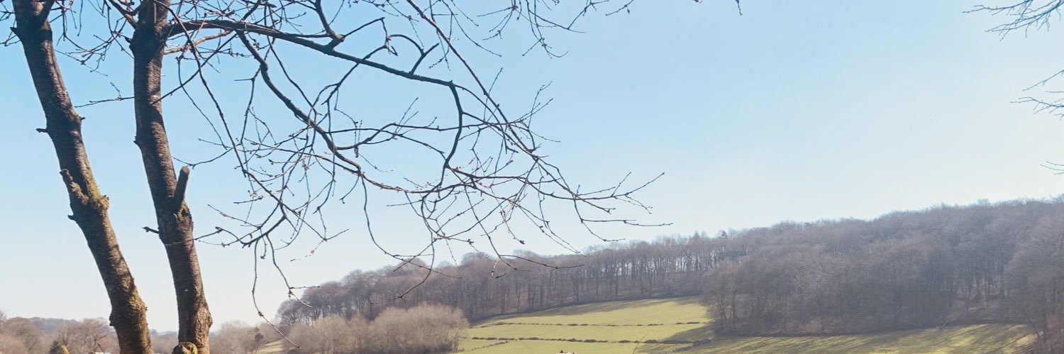 NiallFenty's profile banner image
