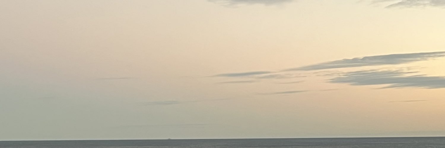 llmmes's profile banner image