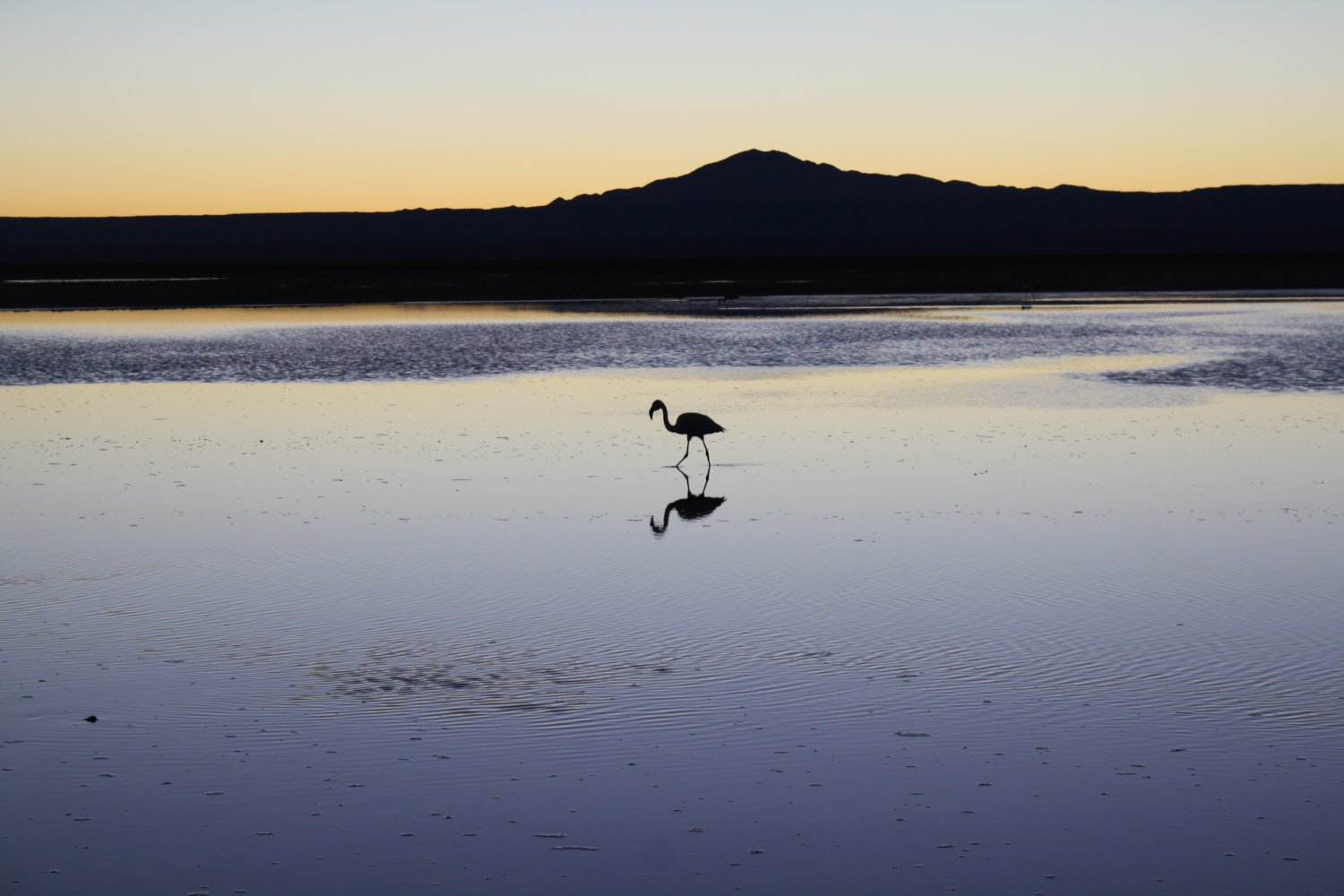 Jesús Cano Reyes banner