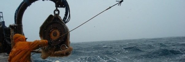 fish4it's profile banner image