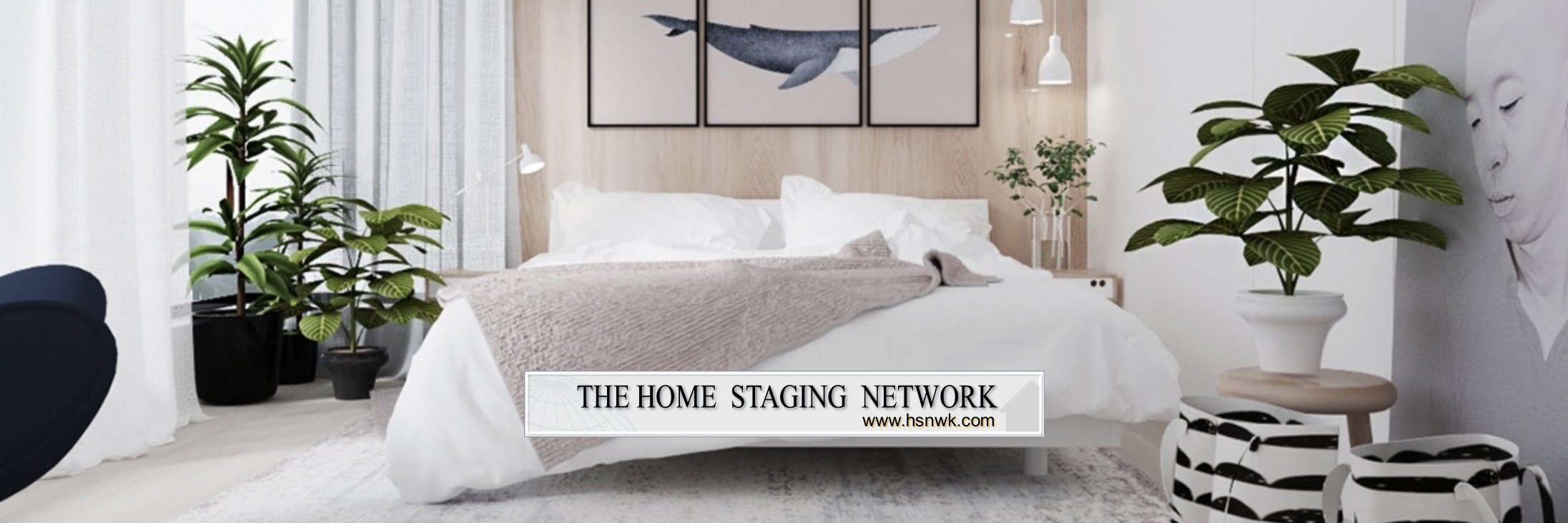 stagingnetwork's profile banner image