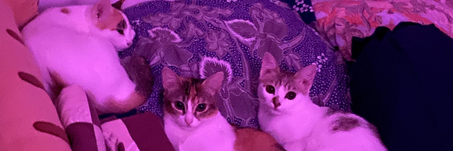 farahnasrin02's profile banner image