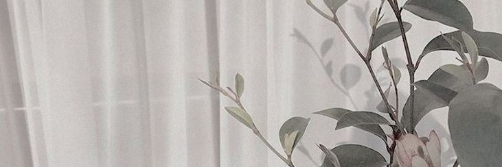 piw banner