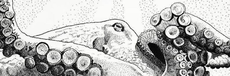 pablocalde's profile banner image