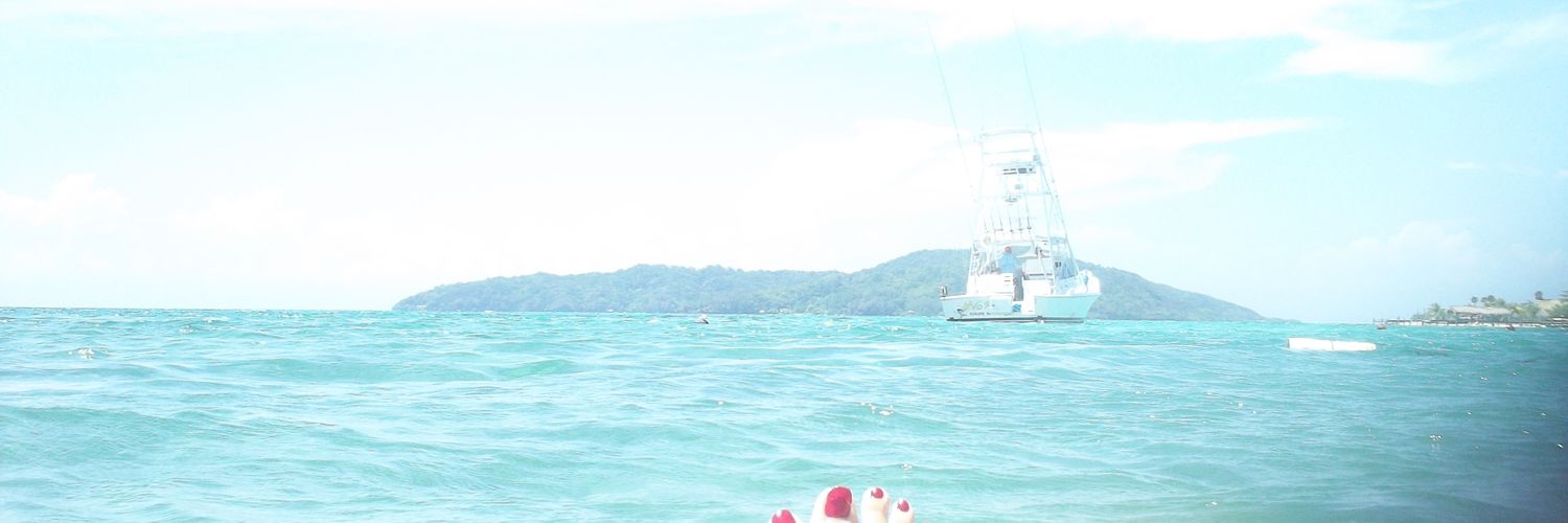 VioletaColorado's profile banner image